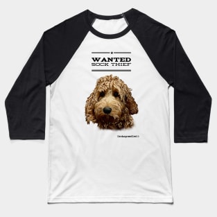 Cockapoo / Doodle Dog Sock Thief Baseball T-Shirt